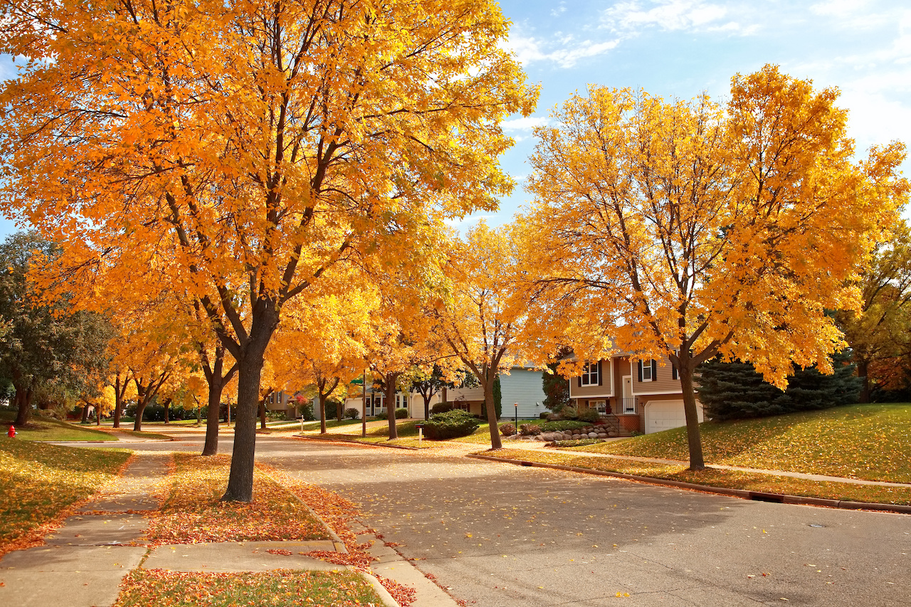 Residential Neighborhood In Autumn